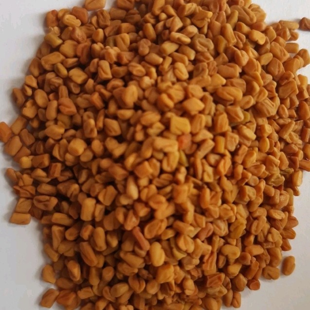 تخم شنبلیله اعلا(بذر شنبلیله)100 گرم