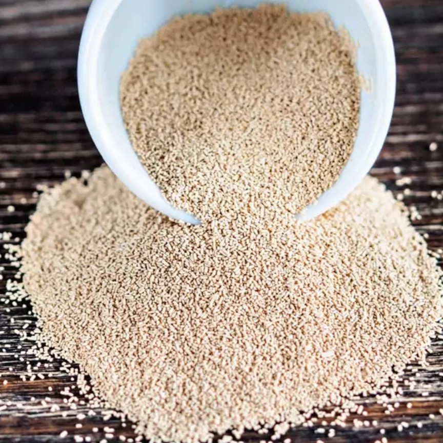 خمیر مایه فوری و تازه 500گرمی
