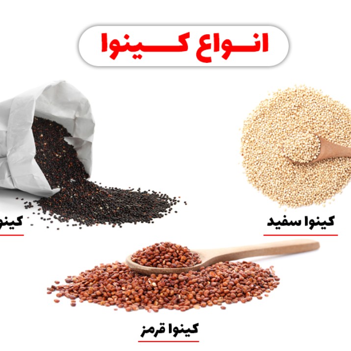 کینوا سفیدهندی ارگانیک 100گرم(خاویار گیاهی)