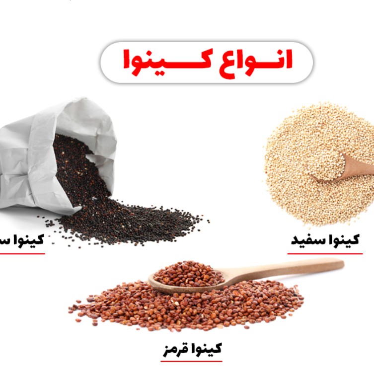 کینوا سفید خارجی ارگانیک 250گرم