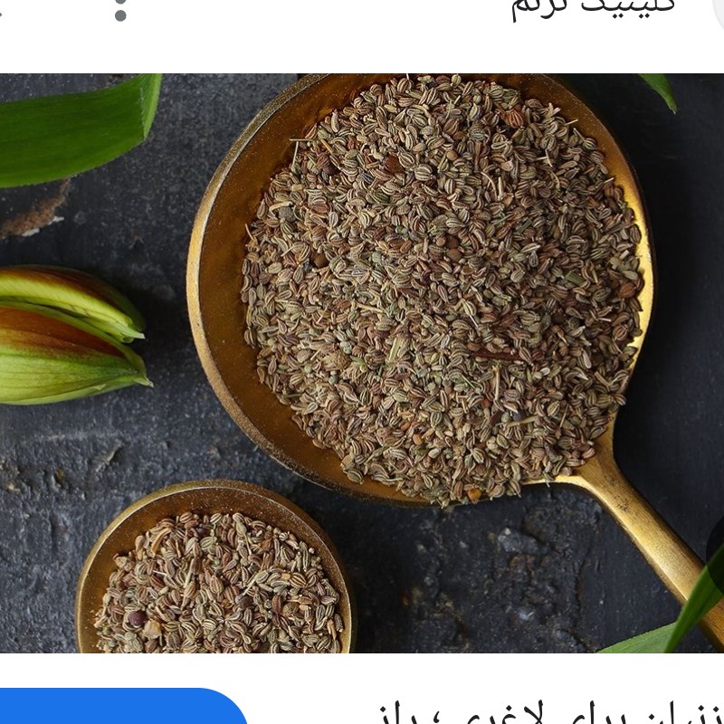 پودر زنیان خالص و با کیفیت 500گرمی