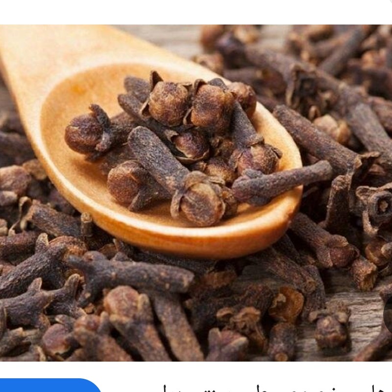دان میخک درشت و بسیار معطر 100گرمی